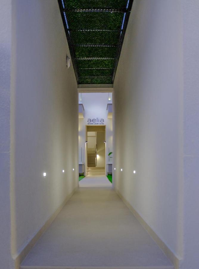 Aelia Seaside Luxury Suites เนอา คาร์วาลี ภายนอก รูปภาพ